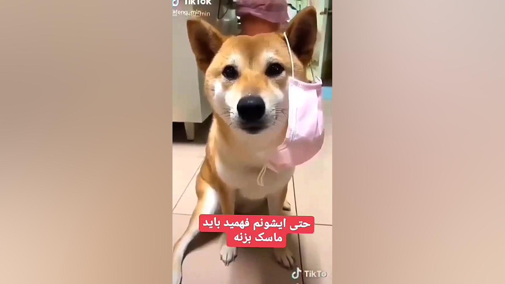 کرونا ویروس