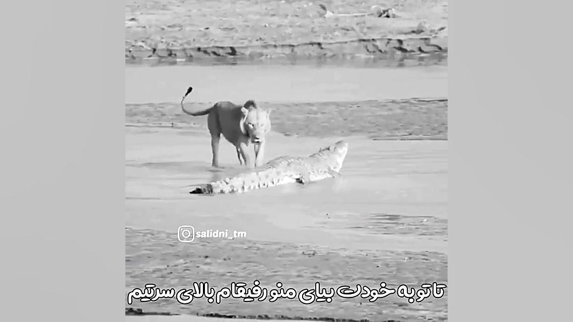 کلیپ دیدنی (فوق العاده)