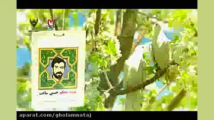 کلیپ تصاویر شهدای عالی مقام را...