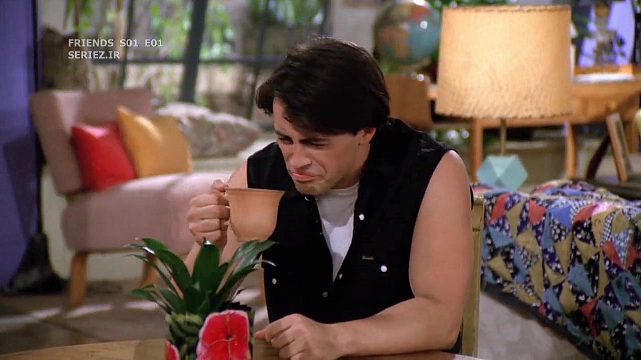 آموزش زبان با سریال Friends فص...