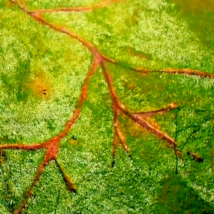 هر جا که باشی...کلیپ احساسی(فا...