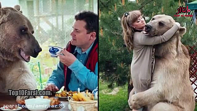 دانستنیها قسمت 190 (10 تا از)