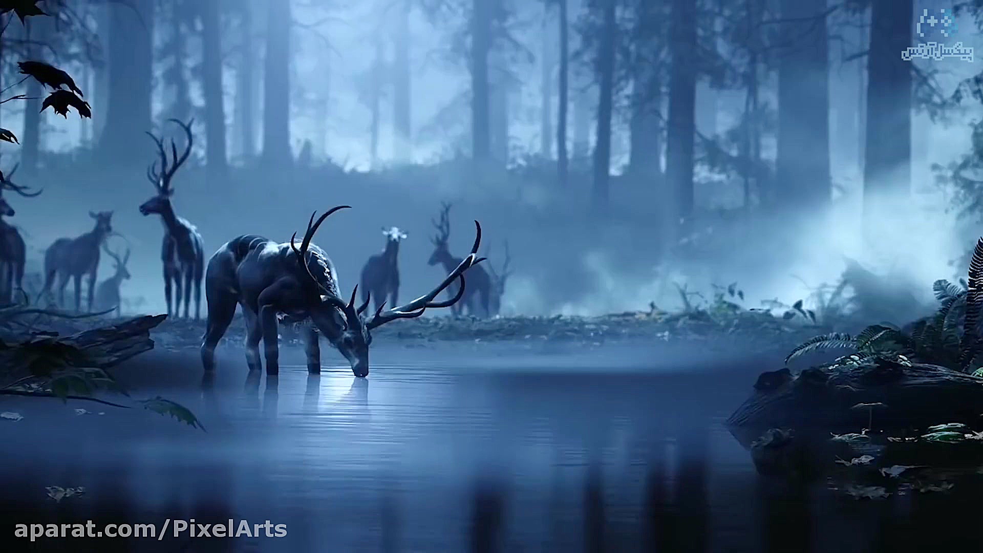 پیش‌بینی‌ها و انتظارات از کنفر...