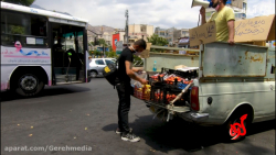 گره 31 | میوه با قیمت مشکوک!!!