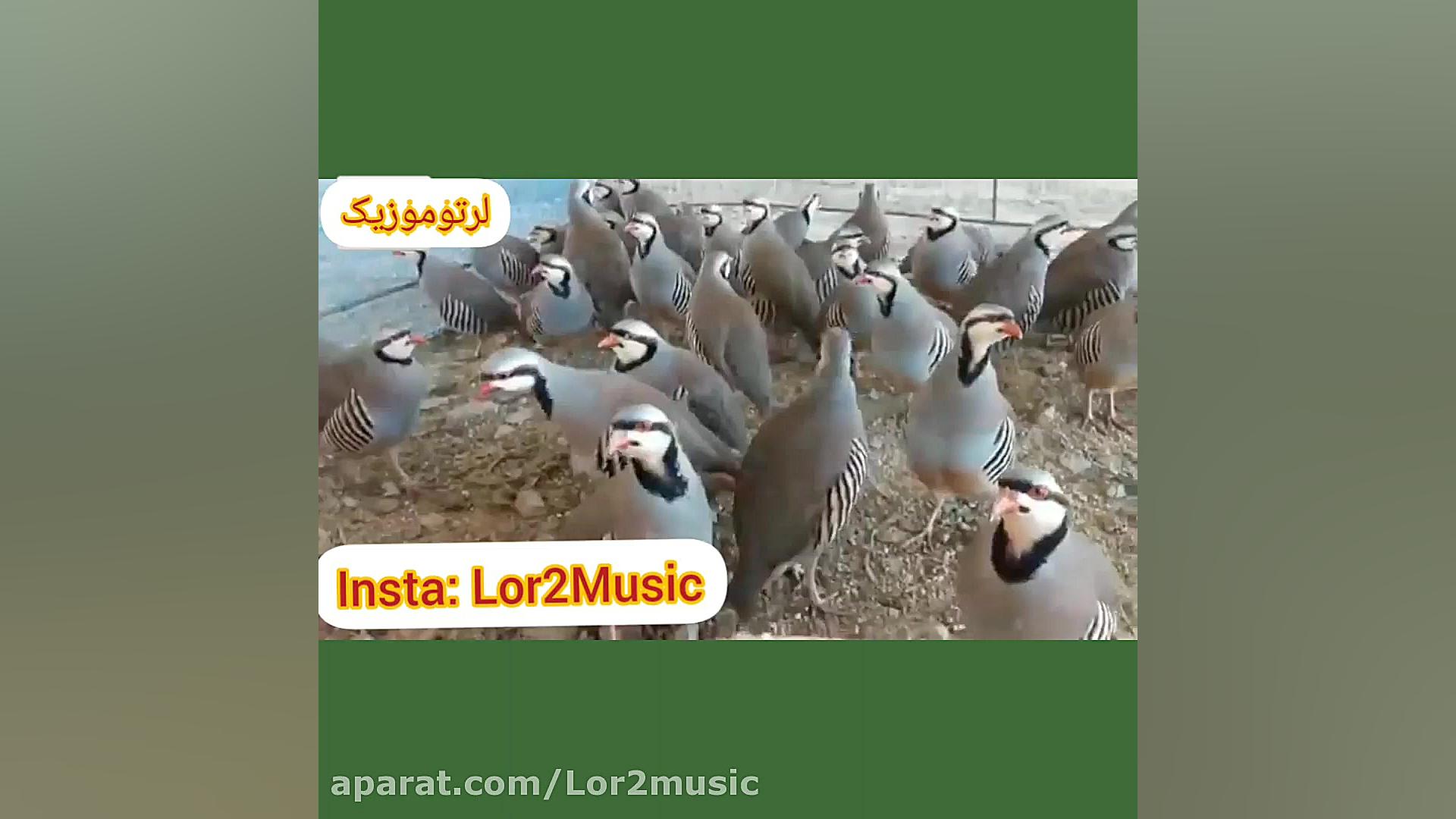 آهنگ لری زیبا مسعود بختیاری کو...