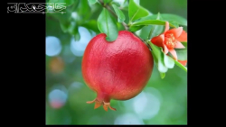 کلیپ کوتاه عاشقانه درباره خدا...