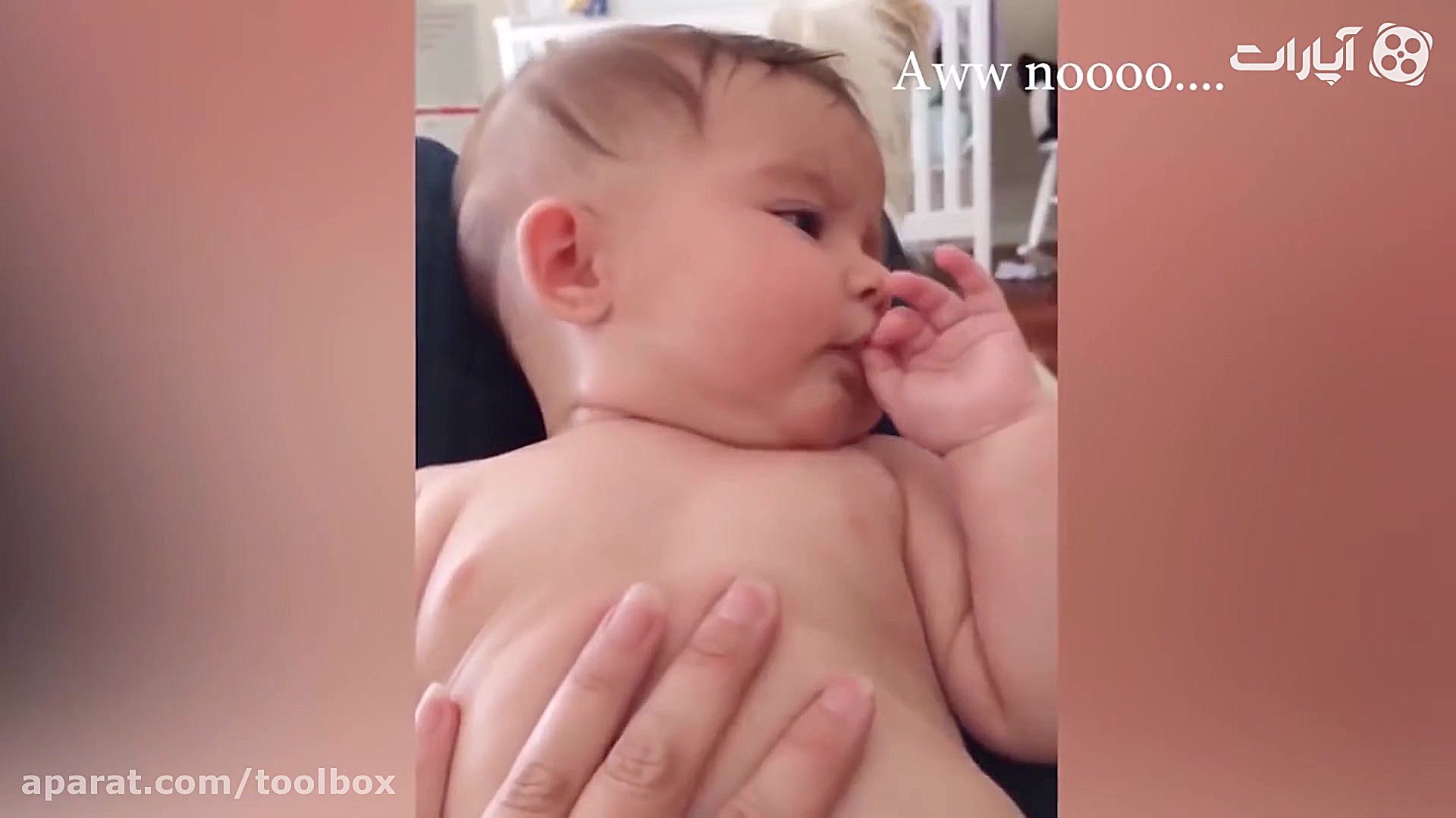 کلیپ بامزه از سگها و بچه ها