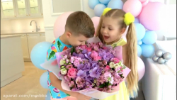 ماجراهای دیانا و روما : دسته گ...