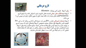 شرکت دایان سلامت