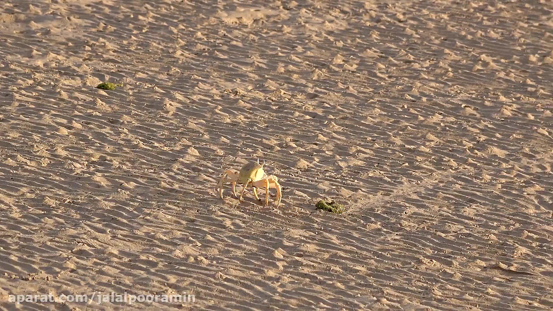 طبیعت بینظیر یمن با کیفیت 4k