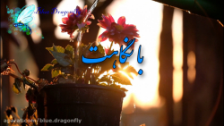 کلیپ عاشقانه  موسیقی آرامش بخش...