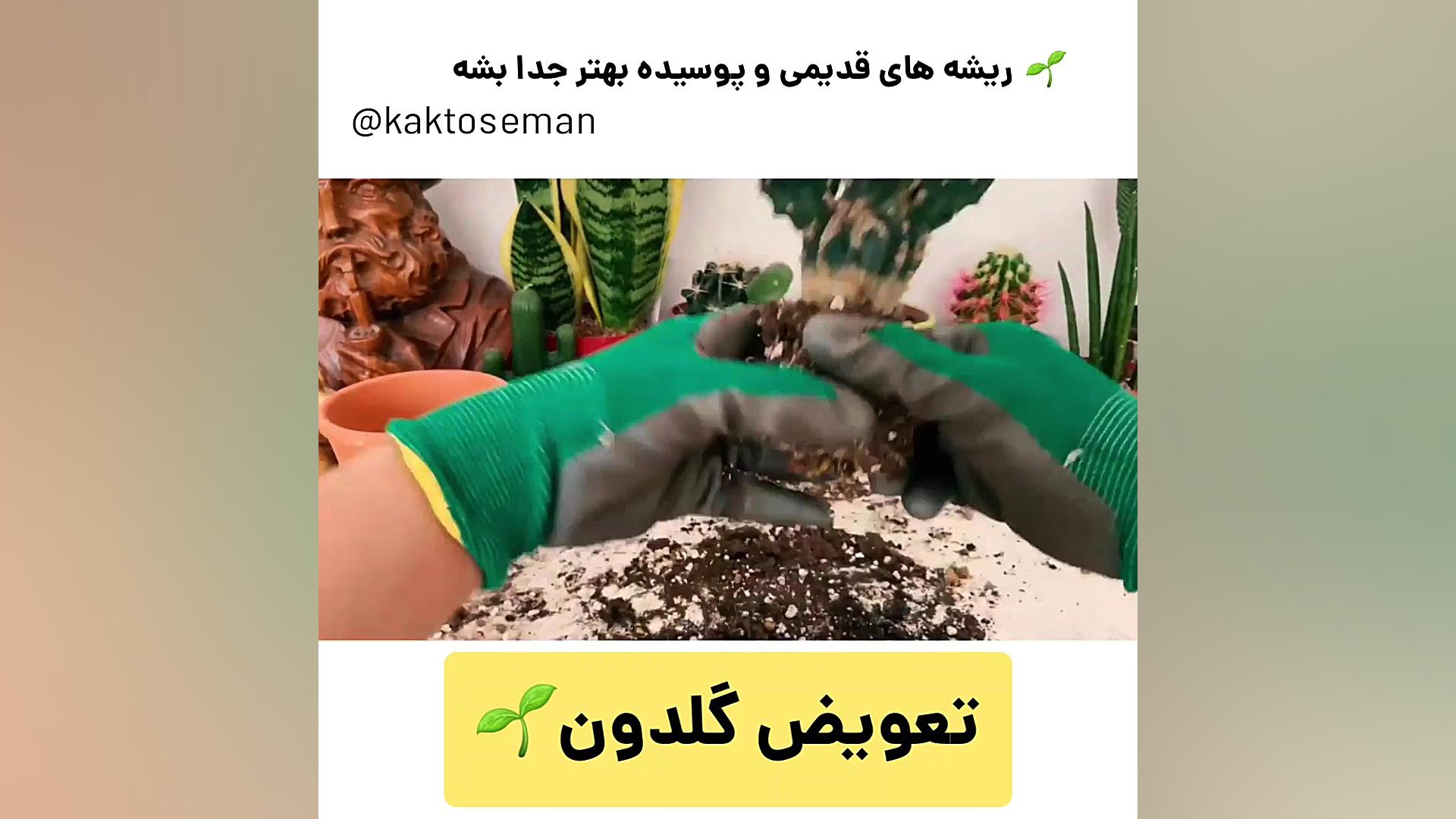 اینستاگرام اموزشی کلی اموزش را...