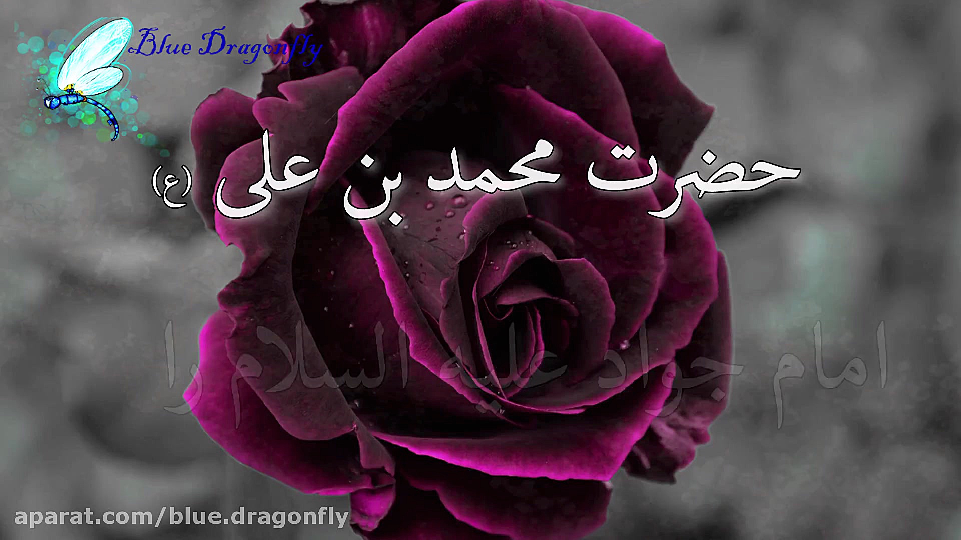 کلیپ تسلیت شهادت امام جواد وفا...