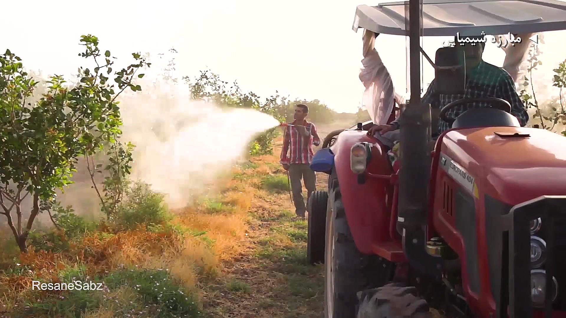 پسیل معمولی پسته و روش‌های مبا...