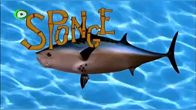 کارتون باب اسفنجی | قسمت 188