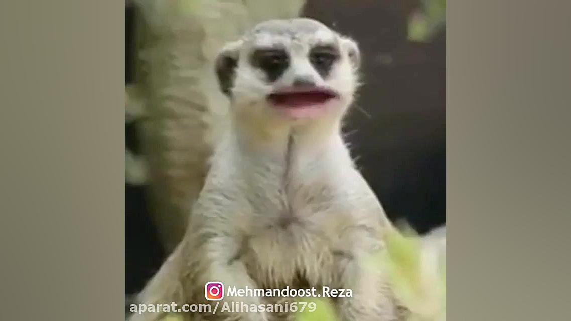 کلیپ خنده دار 2