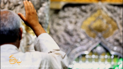 شب های دلتنگی &laquo;تمنّا&raq...