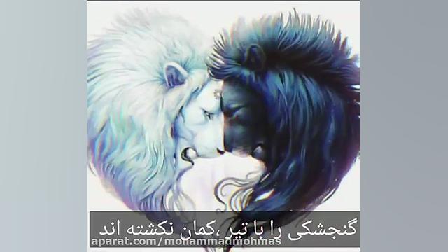 فیلم لاتی