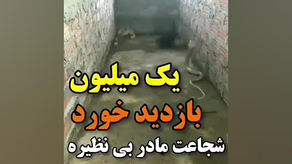 کلیپ احساسی (فوق العاده)