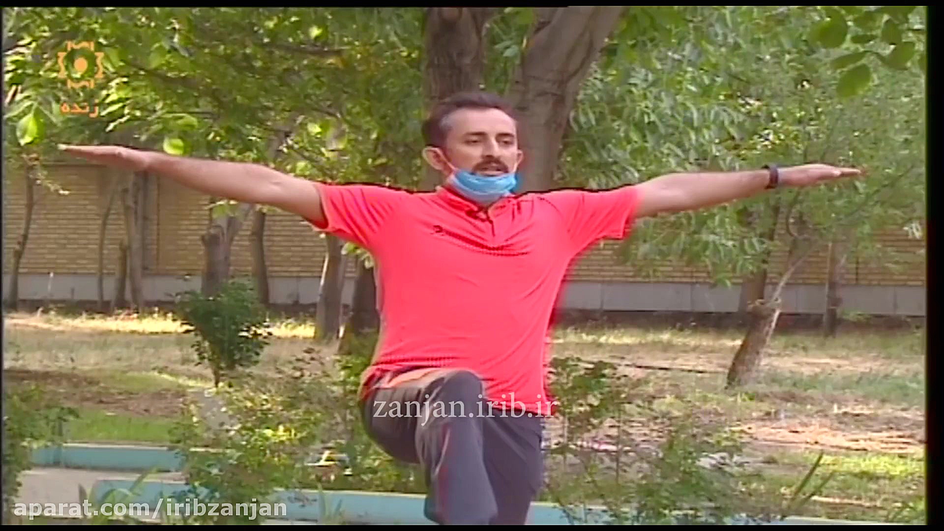 حرکات ورزشی قابل اجرا در خانه