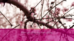 پیامبر(ص):دخترمو شوهر نمیدم!...