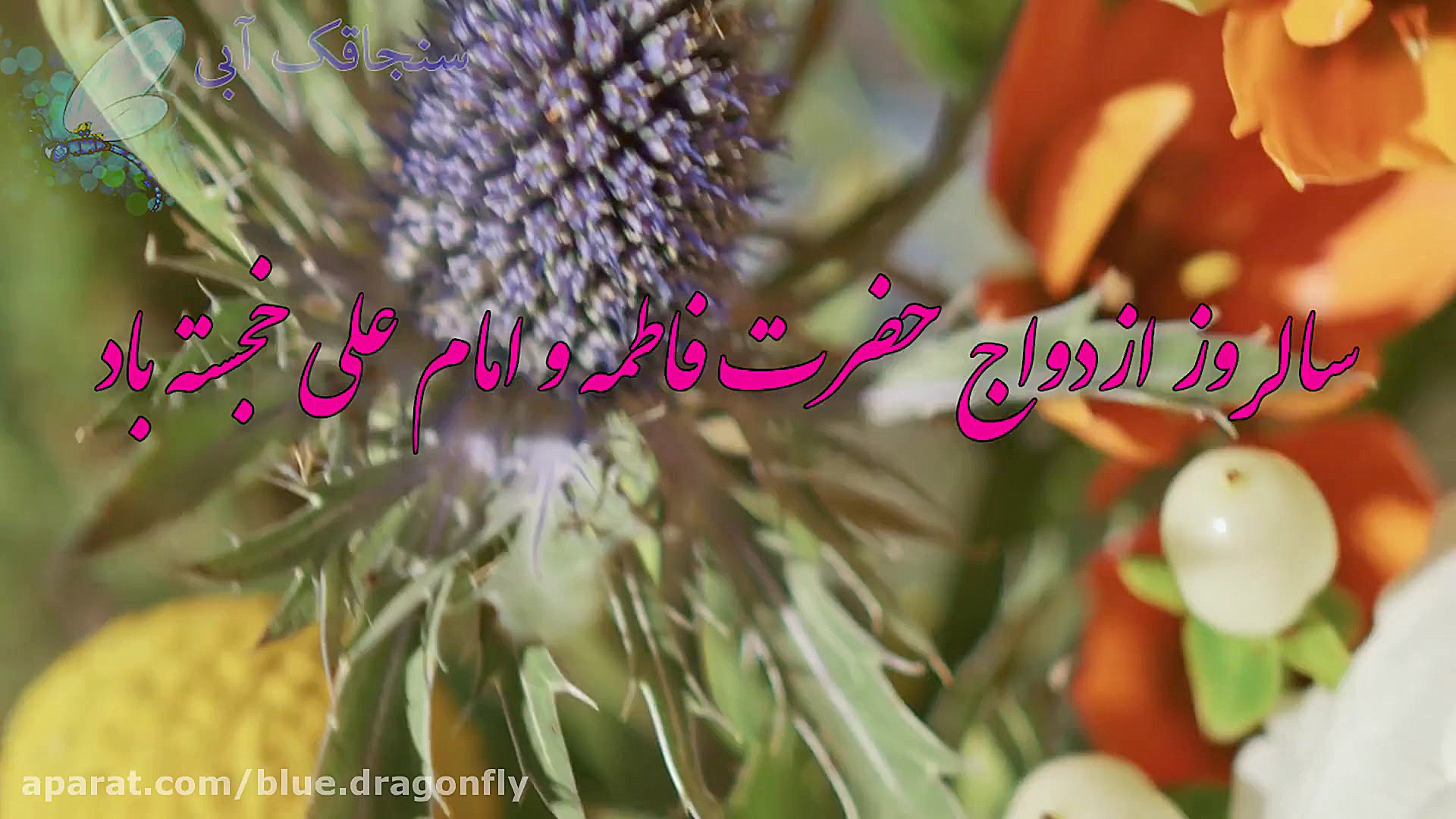 کلیپ تبریک ازدواج امام علی و ح...