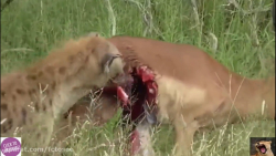 وحشتناک ترین و ترسناک ترین زند...