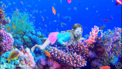 ناستیا و استیسی   ماجراهای ناس...