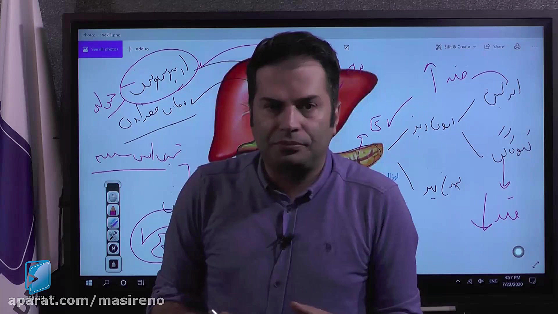 بررسی شکل مربوط به (کبد پانکرا...