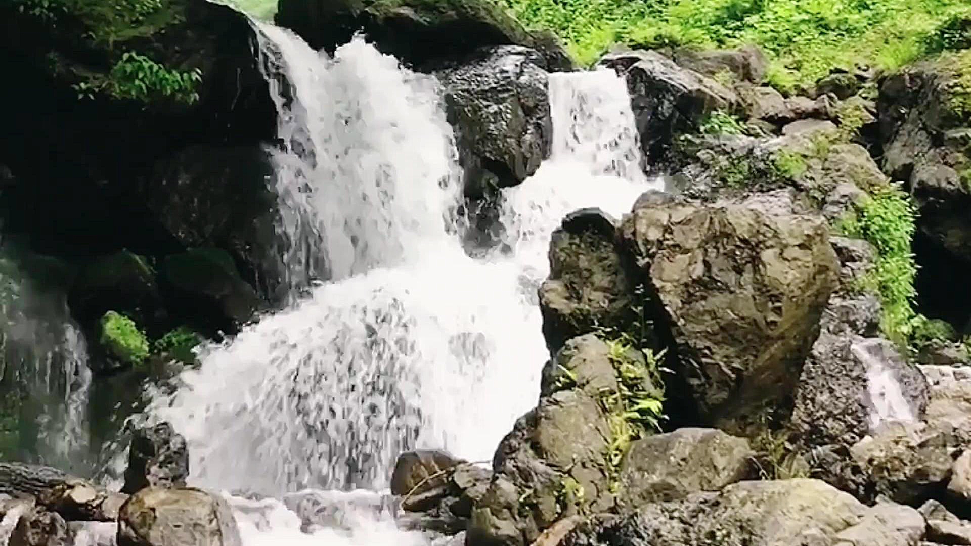 نسیمی... محمدرضا شجریان همایون...