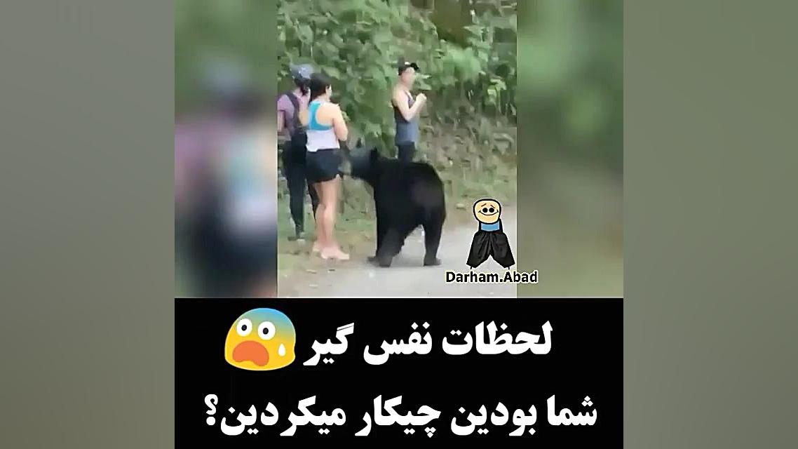 چه ریلکسن با خرس  شمابودید سکت...