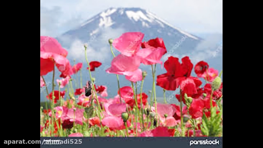 موسیقی قدیمی نا دیده رخت نغمه...