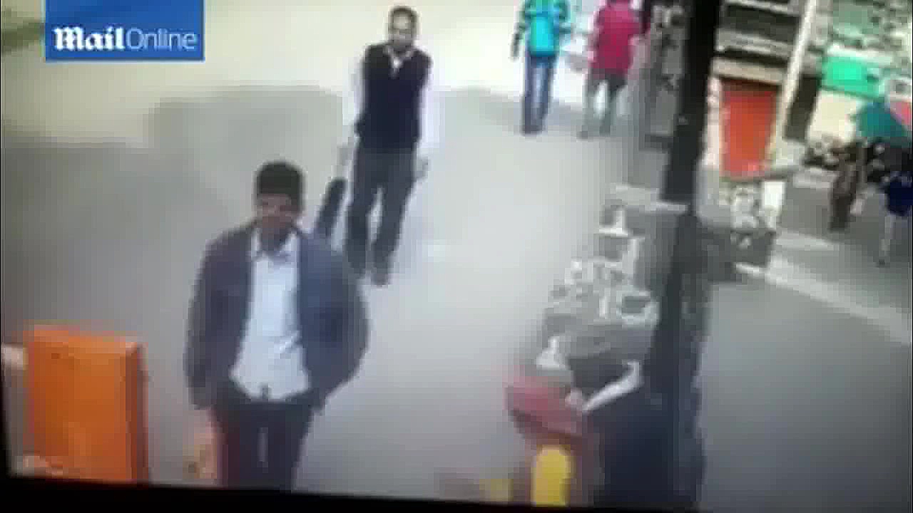 میمون نگهبان