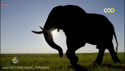 مستند حیات وحش : قلمرو