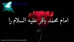 کلیپ تسلیت شهادت امام محمد باق...