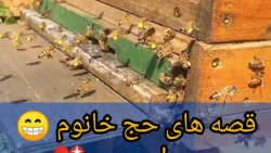 گرده گل چیست