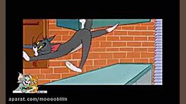 کارتون تام و جری تام و جری