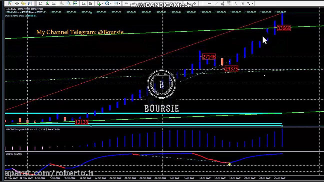 تحلیل سهام برکت