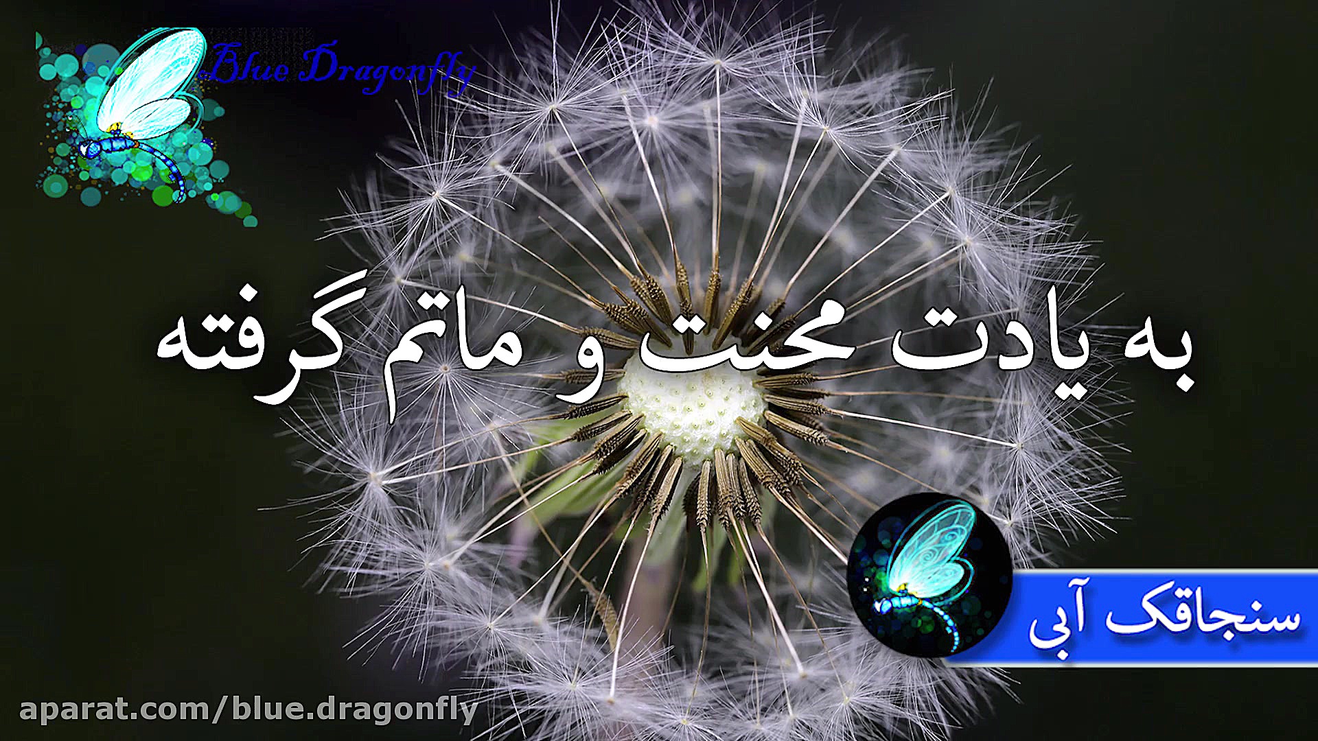 کلیپ تسلیت شهادت امام محمد باق...