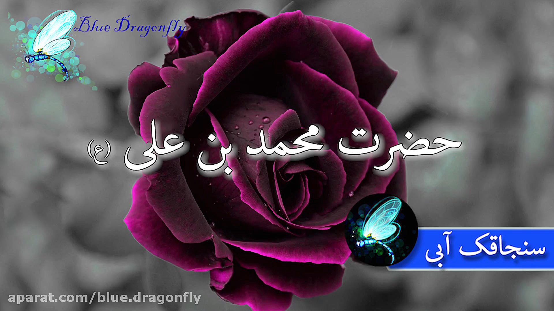 کلیپ تسلیت شهادت امام محمد باق...