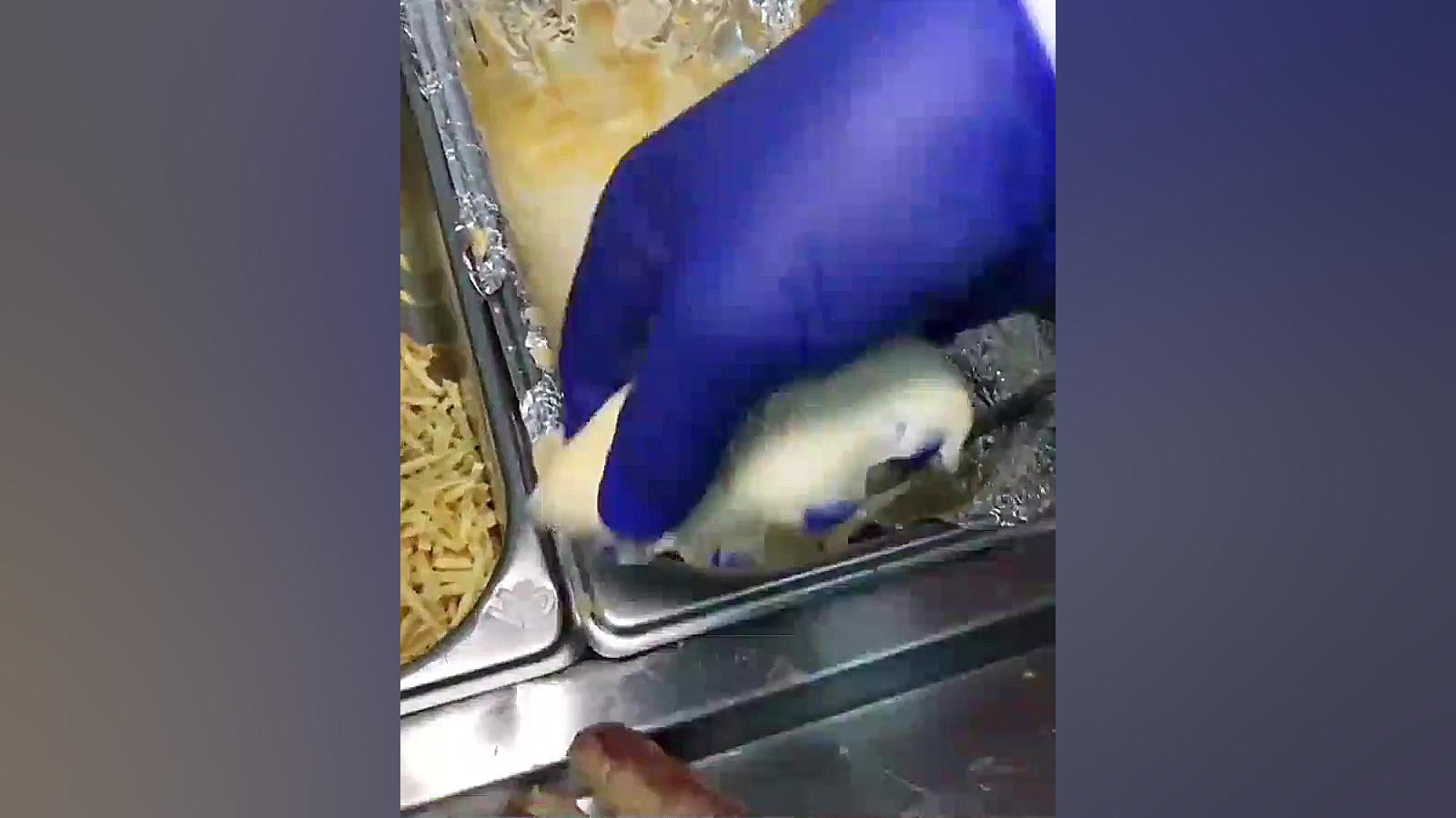 هات داگ سوخاری