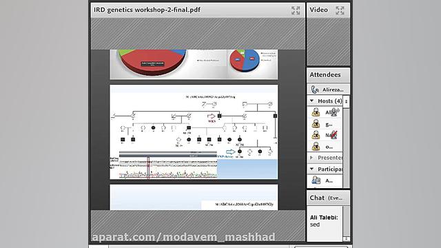 ژنتیک در بیماری شبکیه