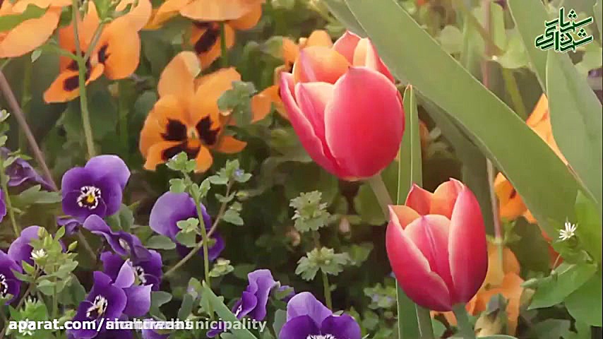 کلیپ ویژه به مناسبت عید سعید ق...