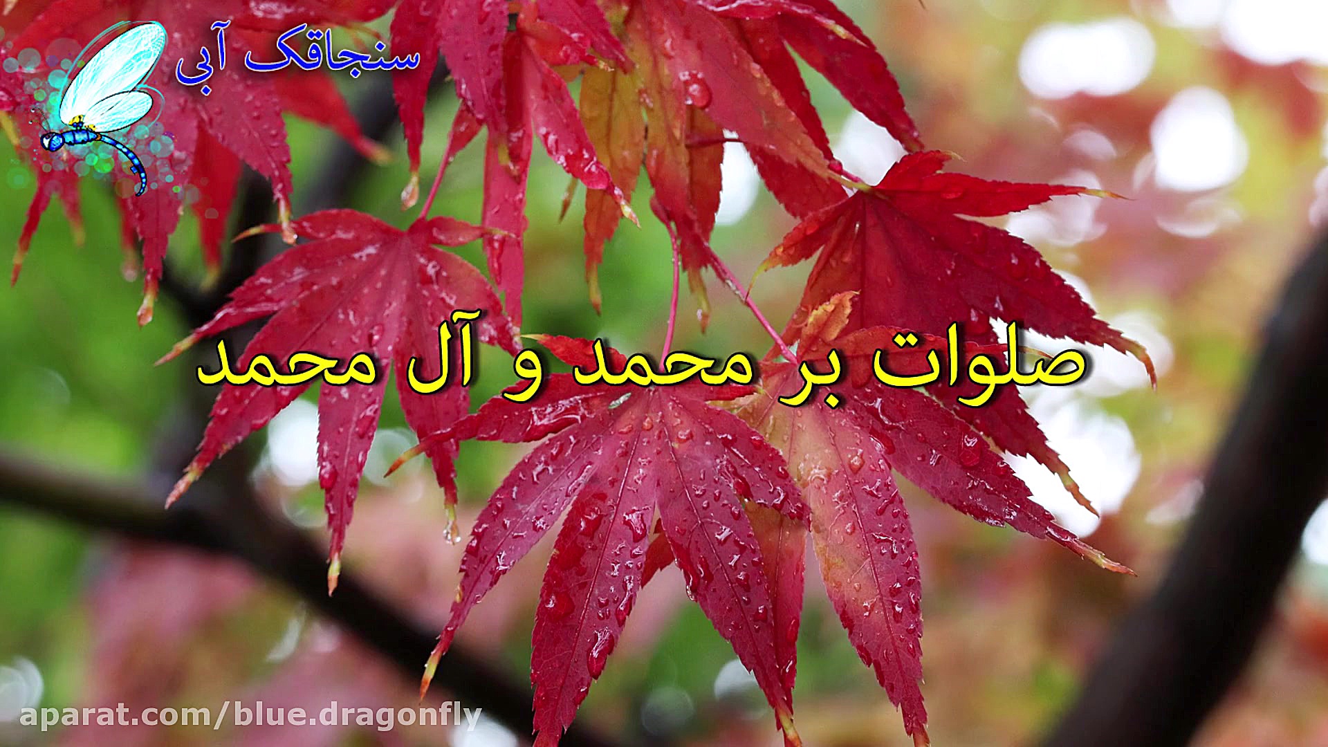 بیاد امام حسین در عید عرفه و ع...