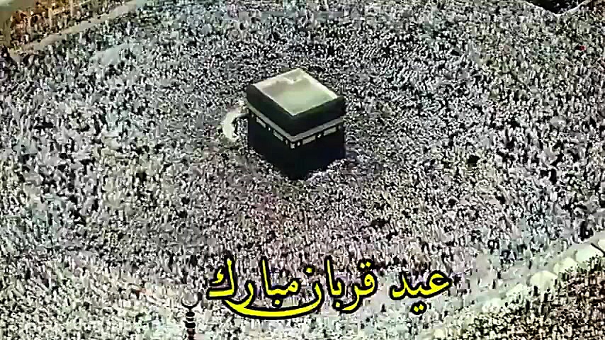 قربان بایرامی | کلیپ