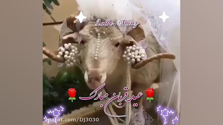 عید قربان مبارک.. کلیپ تبریک