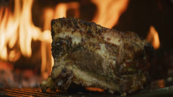 آشپزی در طبیعت | این قسمت : کب...