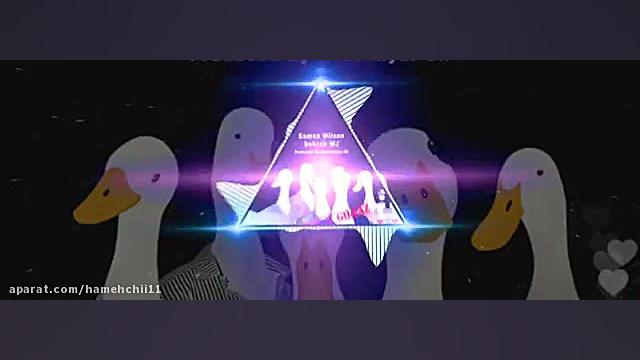 موزیک صد تا یه غاز از ویلسون و...