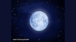 کارتون زندگی حشرات | قسمت 36