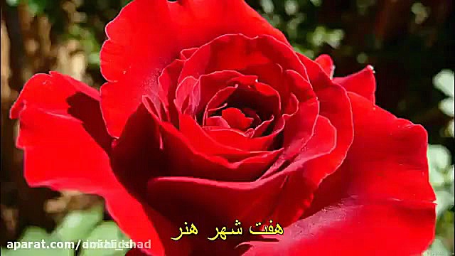 عید سعید قربان برتمام مسلمانان...